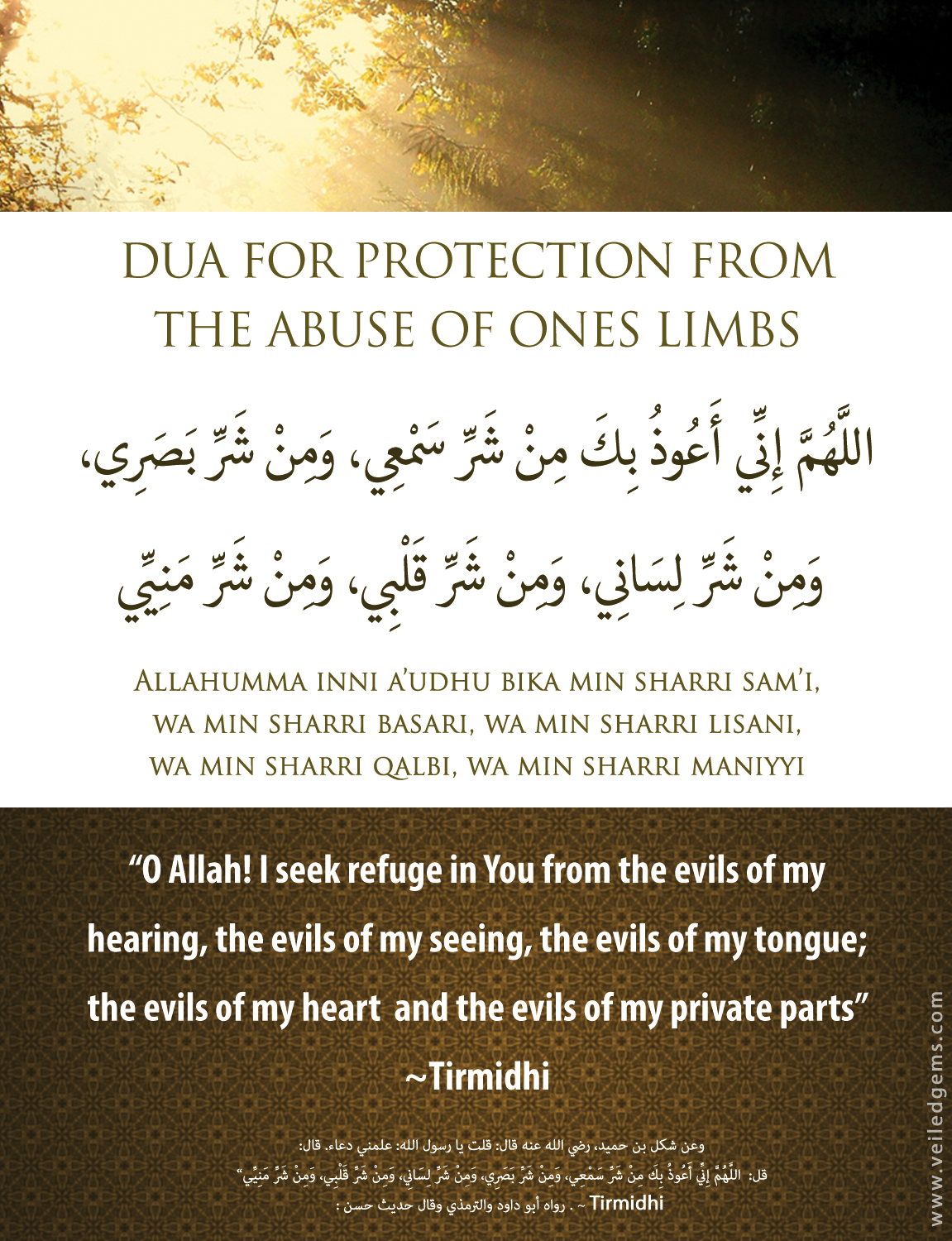 islaah.co.za.Dua.Protection.from.Abuse.Ones.Limbs